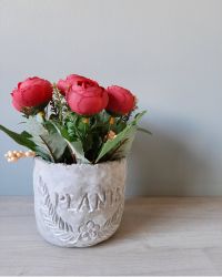 Rose img